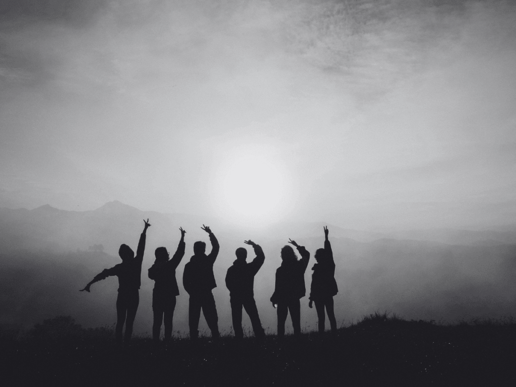 Against the setting sun, a group of cheerful-looking friends. You only see profiles.