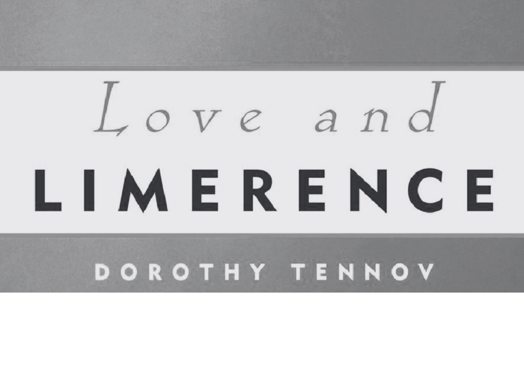 love and limerence, THE COVER